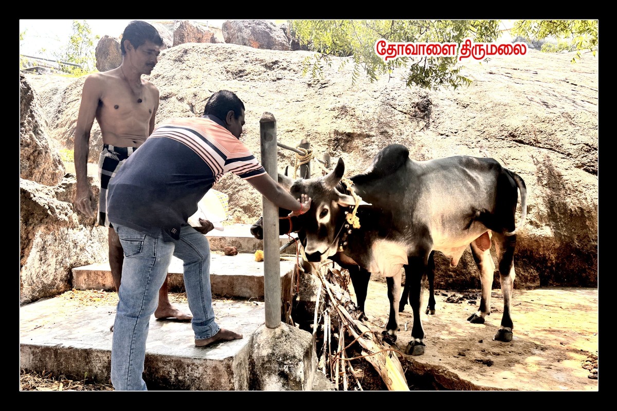 Best Couples Resorts in Paramakudi